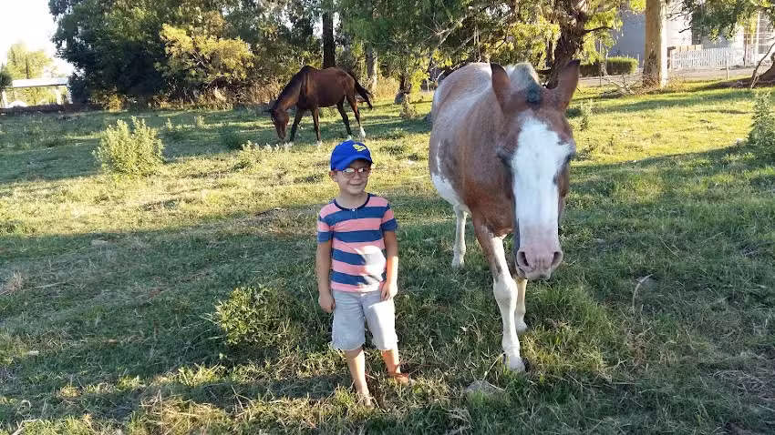 Aberturas y Muebles San Pao