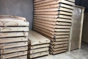 Puertas Petión, puertas interior, aberturas en gral